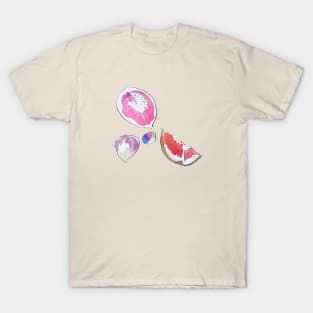 Watercolor Figs 1 T-Shirt